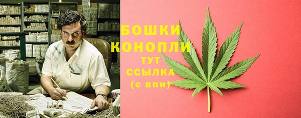 ALPHA PVP Карталы