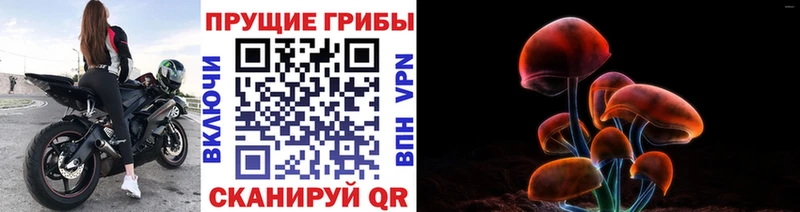 Галлюциногенные грибы прущие грибы  Купить где  Нижневартовск
